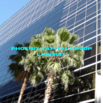 Legal documents and a gavel representing the Phoenix Capital Group lawsuit."