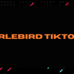 Browsing TikTok content on Urlebird platform.